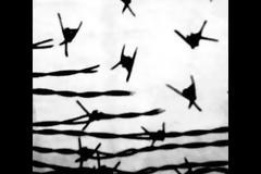 Η δίκη του Επαναστατικού Αγώνα για την απόπειρα απόδρασης με ελικόπτερο (ΗΧΟΣ)