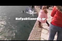 Έγινε η ανέλκυση του αεροσκάφους στο Κρυονέρι (ΔΕΙΤΕ VIDEO)