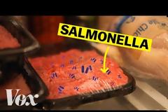 Μήπως η σαλμονέλα κρύβεται στο ψυγείο σας;