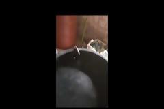 Κέρκυρα: 48χρονος έκρυβε την κάνναβη σε δοχεία λαδιού (ΒΙΝΤΕΟ & ΦΩΤΟ)