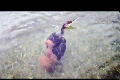 Χταπόδι προσπάθησε να πνίξει κορμοράνο σε παραλία του Ναυπλίου (vid)