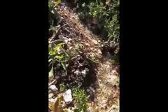 ΑΕΤΟΣ Ξηρομέρου: Ο αγωγός έσπασε, το νερό τρέχει και οι αρμόδιοι είναι... άφαντοι εδω και καιρό!