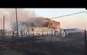 Βίντεο και φωτογραφίες από την πυρκαγιά που στοίχισε τη ζωή σε πυροσβέστη