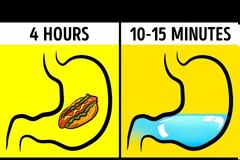 Είναι καλό να πίνεις νερό κατά τη διάρκεια του φαγητού;