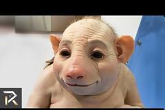 ΤΟ ΒΡΩΜΙΚΟ ΠΑΡΑΣΚΗΝΙΟ ΤΟΥ ΒΙΟΛΟΓΙΚΟΥ ΠΟΛΕΜΟΥ (Βίντεο) –