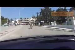 Άλογο έκοβε βόλτες στη Θεσσαλονίκη! Δείτε βίντεο
