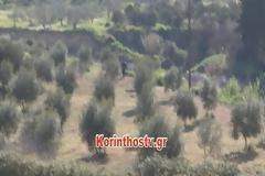 Σολωμός Κορινθίας: Νεκρός 48χρονος άνδρας που πήγε να κλέψει