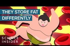 Παλαιστές Σούμο: Πώς καταφέρνουν να διατηρούνται υγιείς παρόλο που καταναλώνουν καθημερινά 7.000 θερμίδες;