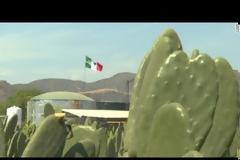 Ο «πράσινος χρυσός» του Μεξικού: Η εταιρεία που δημιούργησε αυτοκίνητα που κινούνται με χυμό κάκτου (vid)