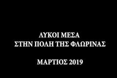 Αγέλη λύκων εμφανίστηκε μέσα στην πόλη της Φλώρινας! (video)