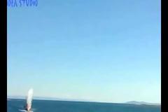 ΑΡΤΕΜΙΣ ΠΑΡΑΛΙΑΚΑ