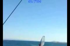 ΑΡΤΕΜΙΣ ΠΑΡΑΛΙΑΚΑ