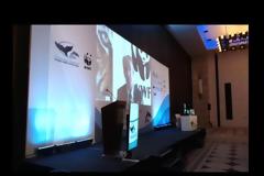 ΒΙΝΤΕΟ - Η παγκόσμια συνδιάσκεψη για την προστασία των θαλάσσιων θηλαστικών ξεκίνησε στη Μεσσηνία