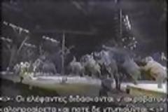 [Video] Θα πήγαινες σε τσίρκο μετά από αυτό το βίντεο;