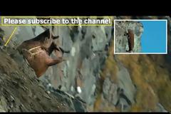 Σκληρό βίντεο: Η στιγμή που θαλάσσιος ίππος «αυτοκτονεί» λόγω της κλιματικής αλλαγής