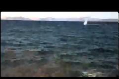 ARTEMIS WALK ON THE SEASIDE