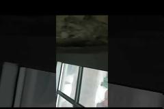 Παράξενοι ήχοι της Αποκάλυψης καταγράφονται στο Ηνωμένο Βασίλειο, την Ιρλανδία, τον Καναδά και τις Ηνωμένες Πολιτείες