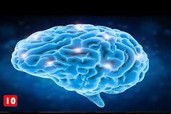 TOP 10 - 10 τρόποι να χακάρεις τον εγκέφαλό σου (και να αλλάξεις τη ζωή σου) - Τα Καλύτερα Top10