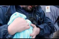 Η οικογένεια αυτή άκουγε θορύβους στον σωλήνα της αποχέτευσης και.. ΔΕ ΘΑ ΠΙΣΤΕΨΕΤΕ ΤΙ ΒΡΗΚΕ ΜΕΣΑ