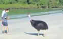 Αναζητείται τολμηρός αγοραστής για το πιο επικίνδυνο πτηνό στον Κόσμο (video)