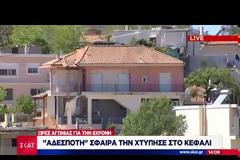 Στο μικροσκόπιο των αρχών η αδέσποτη σφαίρα...