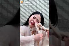 Χταπόδι επιτέθηκε σε food blogger που το παρήγγειλε ζωντανό (Βίντεο)