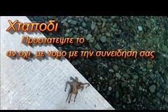 Νέο βίντεο - Χταποδι Προστατεψτε το