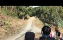 WRC: Το τρομακτικό ατύχημα του Neuville στη Χιλή (video)