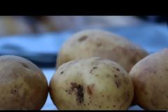 Μπορούμε να καταναλώσουμε πατάτες που έχουν λίγο πρασινίσει;