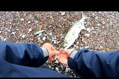 Νέο βίντεο - Ατελειωτος ο δρομος σημερα