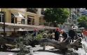 ΒΙΝΤΕΟ.Δέντρο έπεσε σε καφέ