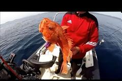 Νέο βίντεο - Σκορπινα Σουπα και ψητη