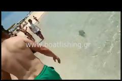 Βίντεο: Λαγοκέφαλος δάγκωσε λουόμενο στην Κάρπαθο