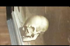 Η απίστευτη οπτική ψευδαίσθηση σε πίνακα ζωγραφικής του 1533