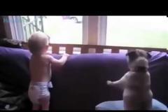 Οι απίθανες αντιδράσεις μωρών όταν γυρνάει ο μπαμπάκας στο σπίτι (Video)