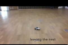 Πώς οι μέλισσες βρίσκουν το δρόμο για να γυρίσουν στην κυψέλη τους. Γιατί τα φυτοφάρμακα τις αποπροσανατολίζουν