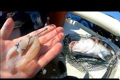 Νέο βίντεο - Η Ιστορια ενος ψαρεματος