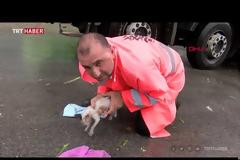 Βίντεο: Εργάτης έσωσε γατάκι δίνοντας του το «φιλί της ζωής»