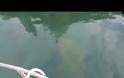 Τα συντρίμμια του αεροσκάφους που κατέπεσε το 1971, την ώρα που οι επιβάτες του φωτογράφιζαν τον Σκορπιό (video)