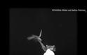 Γιγαντιαίο καλαμάρι τεσσάρων μέτρων καταγράφηκε στα βάθη του Ατλαντικού (video)