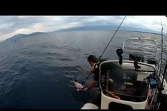 Νέο βίντεο - Οταν δεν φτανει το δολωμα παντα περισσευει