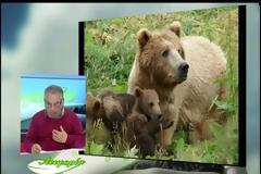 ΒΑΛΙΑ ΚΑΛΝΤΑ-Η πανέμορφη  “ΖΕΣΤΗ ΚΟΙΛΑΔΑ”  των ΒΛΑΧΩΝ και οι  2 ΔΡΑΚΟΛΙΜΝΕΣ της  ΦΛΕΓΓΑΣ - Του ΣΤΑΥΡΟΥ Π. ΚΑΠΛΑΝΟΓΛΟΥ (video)