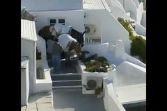 Παγκόσμια διαμαρτυρία για τα γαϊδουράκια της Σαντορίνης