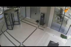 Βίντεο: Πώς κατέγραψαν οι πολίτες τη στιγμή του σεισμού των 5,1 Ρίχτερ