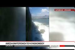 Κρήτη: Ασυνείδητοι πέταξαν σκύλο στη θάλασσα - Πώς σώθηκε από τα κύματα