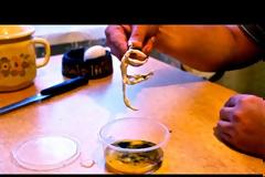 Ρώσος βάζει το σπέρμα του σε αβγό – Το αποτέλεσμα ανατριχιάζει (ΒΙΝΤΕΟ)!