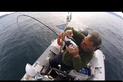 Νέο βίντεο - Απογευματινο ψαρεμα στο Αιγαιο