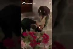 Βίντεο: Ο γιος του Τομ Χανκς κατέγραψε άγριο ξυλοδαρμό στην Αντίπαρο