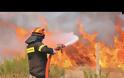Εύβοια: Συνεχίζεται για τρίτη ημέρα η μάχη με τις φλόγες