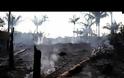 Πυρκαγιές στον Αμαζόνιο: Βασική αιτία η παγκόσμια 
